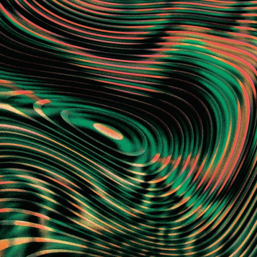 Stake : Love, Death and Decay